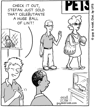 brevity